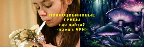 дурь Кукмор