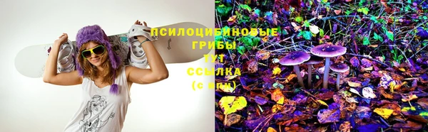 дурь Кукмор