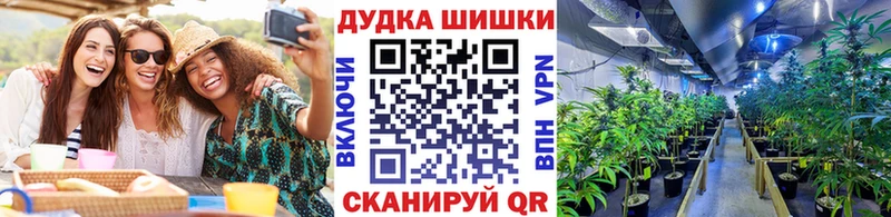 Бошки марихуана семена  darknet Telegram  MEGA ONION  Павловская  купить  